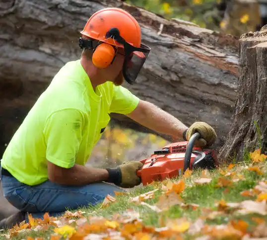 tree services Munising